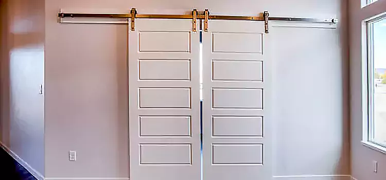 Glass Barn Door with Installation Hardware Kit Blacksburg